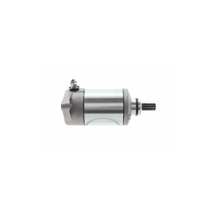 Alanko 10439163 Starter Motor