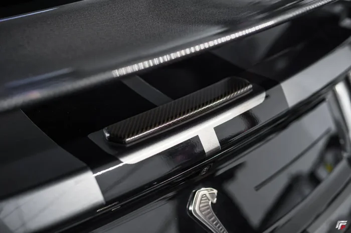 APR Performance 2015-2023 Ford Mustang Carbon Fiber Trunk Cover