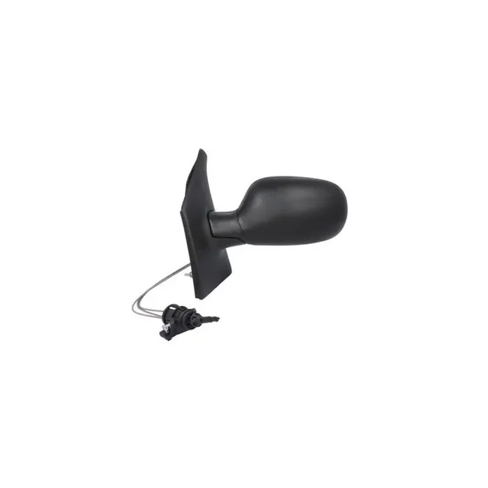 Blic 5402-04-1112229P Wing Mirror for Renault Megane Scenic (Ja)
