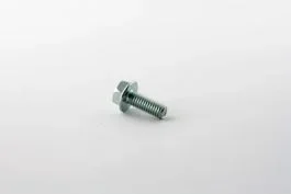 Bolt for Valve Body (M6 x 1.0 x 15mm)
