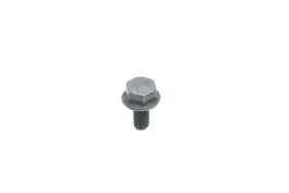 Bolt (M6 x 1.0 x 10mm)