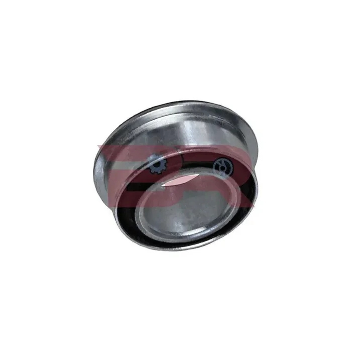 Botto Ricambi Brs0343 Control Arm- / Trailing Arm Bush for Iveco Daily