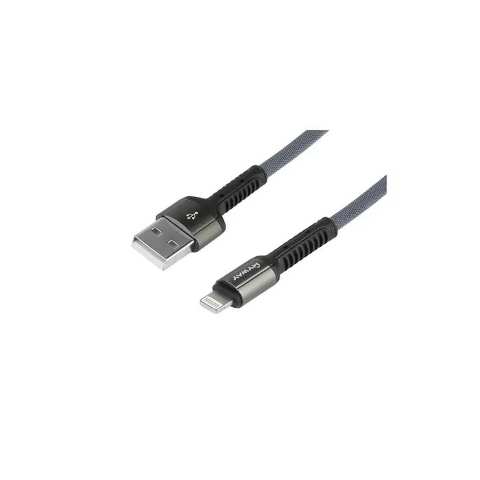 CARMOTION 63024 USB charge cable Grey