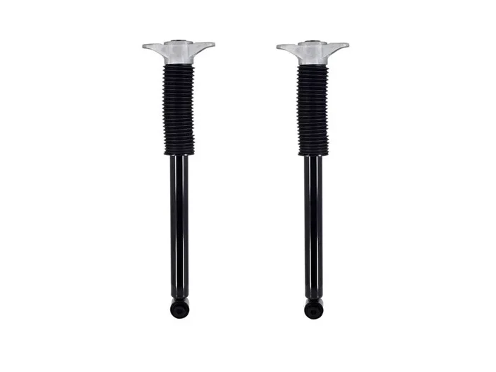 Complete Rear Strut Assembly Set for Tesla Model 3 and Model Y up to 2024