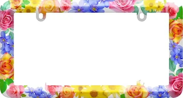 Cruiser Accessories 23806 License Plate Frames