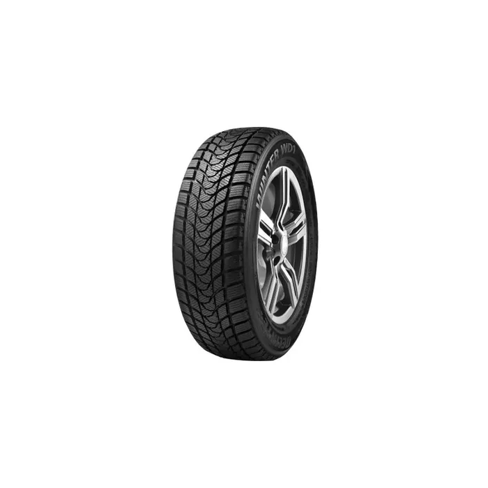 Delinte WD1 205/55 R16 91H Winter Tyre