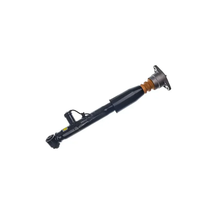 Denckermann Dsa029G Dsa029G Air Suspension Strut for Audi A6