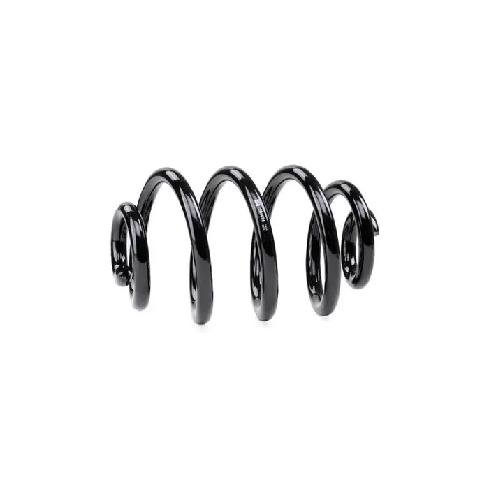 Febi Bilstein 104695 Coil Spring for BMW 3 Series