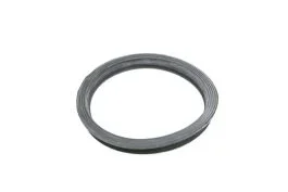 Fuel Pump Seal