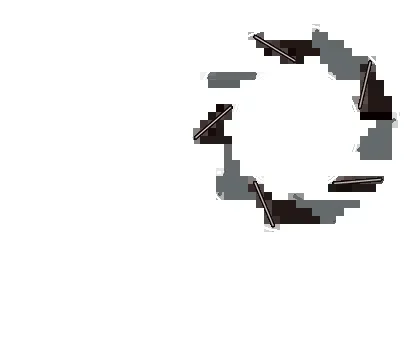MUGEN Brake Rotor [FRONT] For N-WGN JH1 JH2 45250-XLF-K0S0