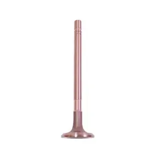 Omix-Ada 17415.13 Exhaust Valve
