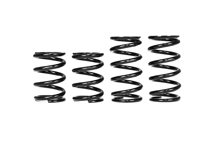 Paragon C8 Corvette Z06 Lowering Springs by Hyperco – 1 inch