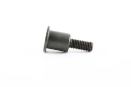 Screw for Timing Chain Guide