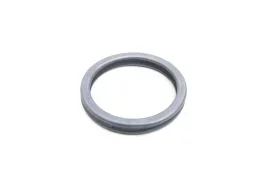Seal Ring