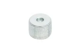 Transmission Drain/Fill Plug